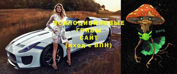 гидра Беломорск