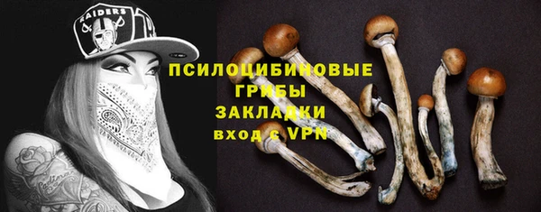 ГАЛЛЮЦИНОГЕННЫЕ ГРИБЫ Белоозёрский