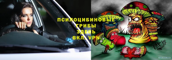 ГАЛЛЮЦИНОГЕННЫЕ ГРИБЫ Белоозёрский