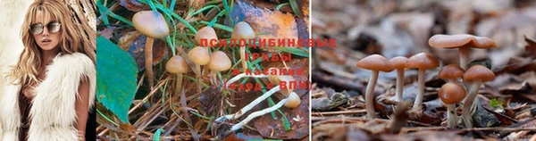 марихуана Белокуриха