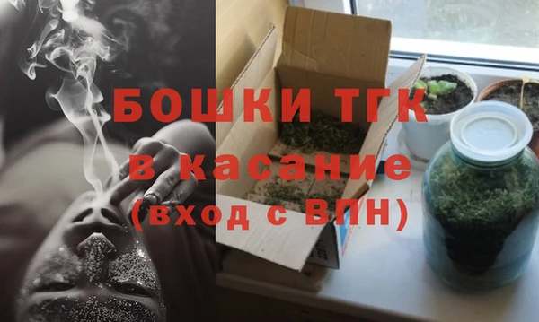 ГАЛЛЮЦИНОГЕННЫЕ ГРИБЫ Белоозёрский