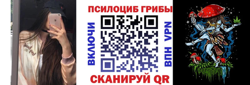 Галлюциногенные грибы Psilocybe  это официальный сайт  Топки  где найти наркотики 